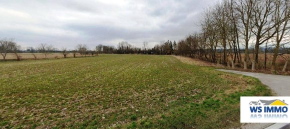 Terreno en Marchtrenk, Austria No. 70654 3