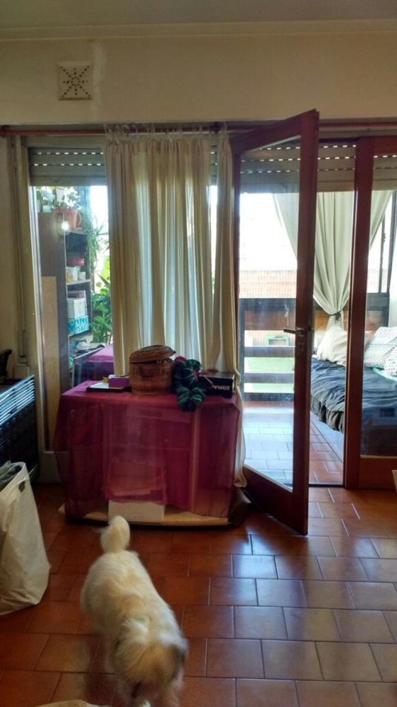 Studio in Mar del Plata, Argentina No. 99530