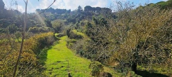 Земельный участок 4677м² в Мессина, Италия № 152206 7