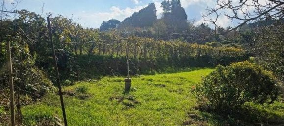 Земельный участок 4677м² в Мессина, Италия № 152206 8