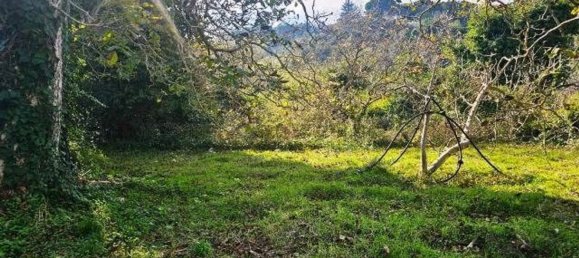 Земельный участок 4677м² в Мессина, Италия № 152206 10