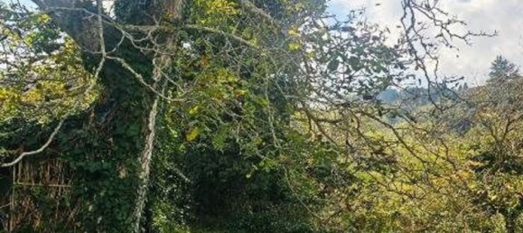 Земельный участок 4677м² в Мессина, Италия № 152206 11