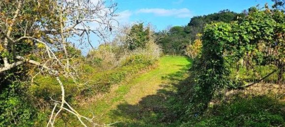 Земельный участок 4677м² в Мессина, Италия № 152206 14