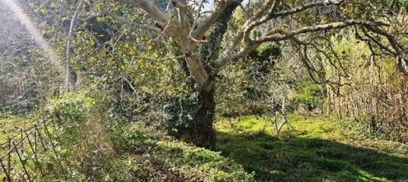 Земельный участок 4677м² в Мессина, Италия № 152206 15