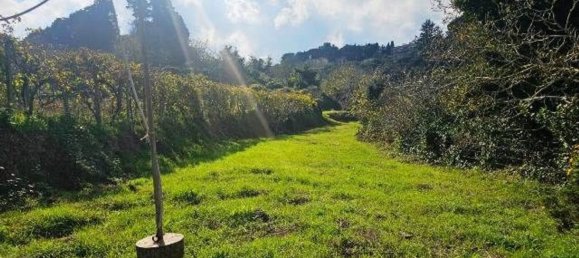 Земельный участок 4677м² в Мессина, Италия № 152206 6