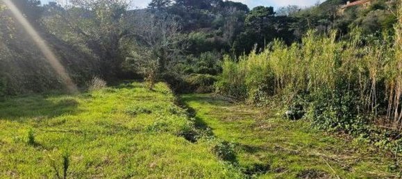 Земельный участок 4677м² в Мессина, Италия № 152206 13