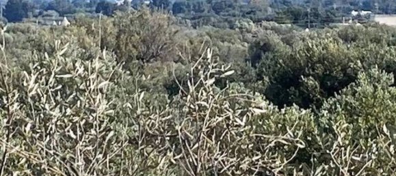 Дом с 8 спальнями в Каровиньо, Италия № 348116 6