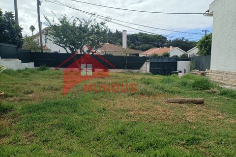 Terrain à Sesimbra, Portugal No. 342863