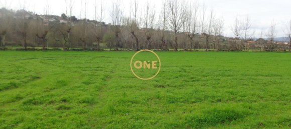 8000m² Land in Adaufe, Portugal No. 52768 6