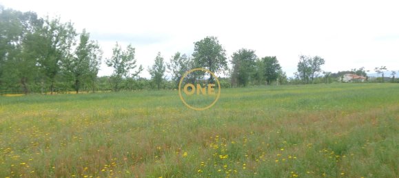 8000m² Land in Adaufe, Portugal No. 52768 12