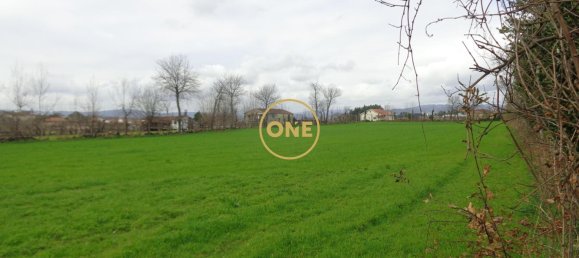 8000m² Land in Adaufe, Portugal No. 52768 9