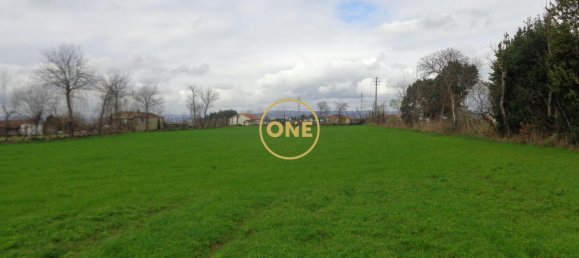 8000m² Land in Adaufe, Portugal No. 52768 5