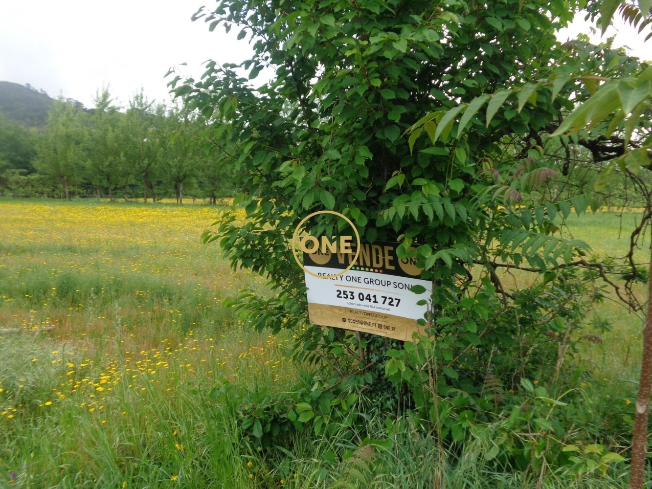 8000m² Land in Adaufe, Portugal No. 52768