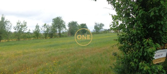 8000m² Land in Adaufe, Portugal No. 52768 19