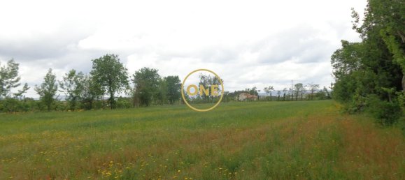 8000m² Land in Adaufe, Portugal No. 52768 11