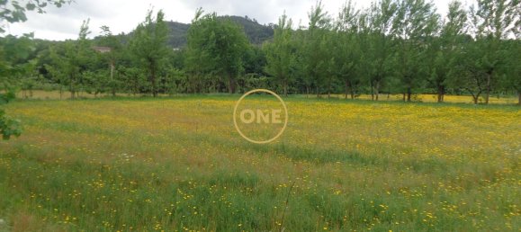 8000m² Land in Adaufe, Portugal No. 52768 20