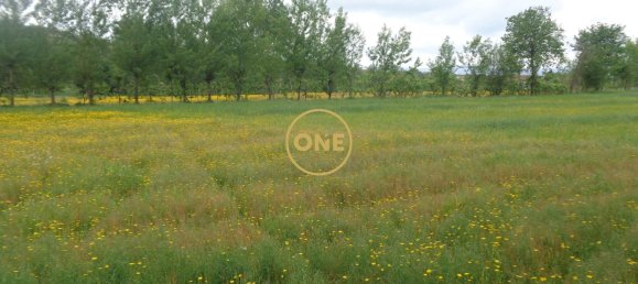 8000m² Land in Adaufe, Portugal No. 52768 18