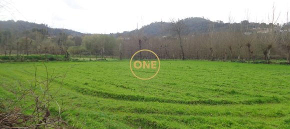 8000m² Land in Adaufe, Portugal No. 52768 7