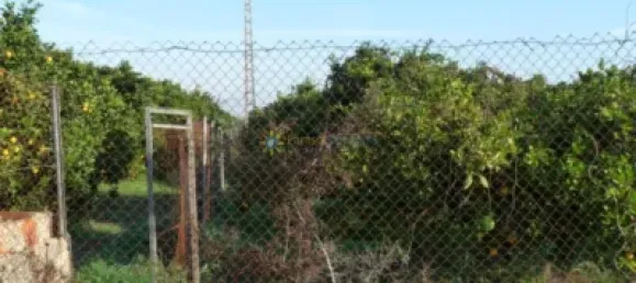  Land in Valencia, Spain No. 175954 16