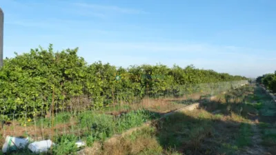  Land in Valencia, Spain No. 175954