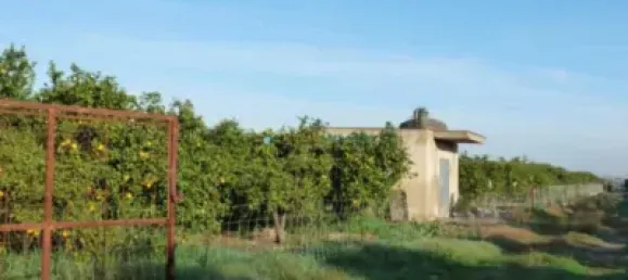  Land in Valencia, Spain No. 175954 15