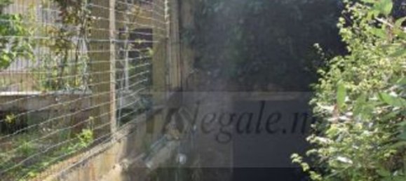 16 rooms Villa in Florence, Italy No. 48066 32