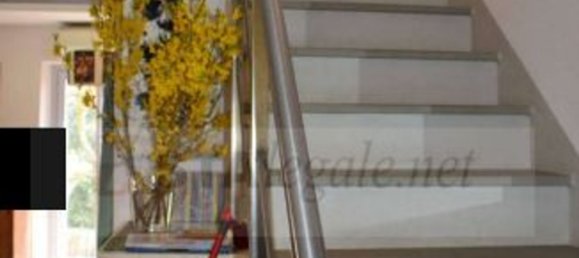 16 rooms Villa in Florence, Italy No. 48066 25