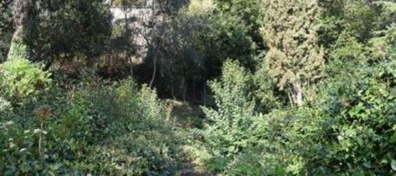 16 rooms Villa in Florence, Italy No. 48066 33