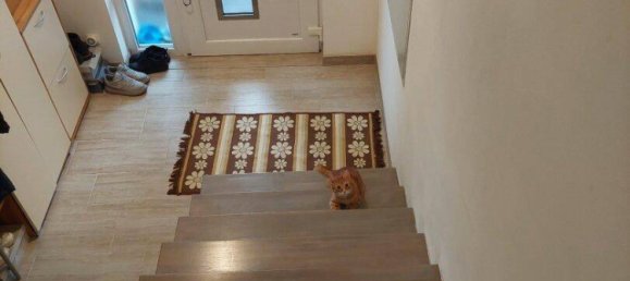 Дом с 7 комнатами в Прелленкирхен, Австрия № 161724 18