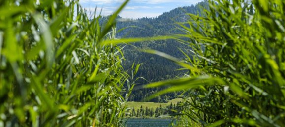 Terrain à Weissensee, Austria 751m² No. 155729 13