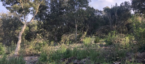  Land in Figari, France No. 93105 15