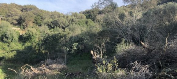  Land in Figari, France No. 93105 11