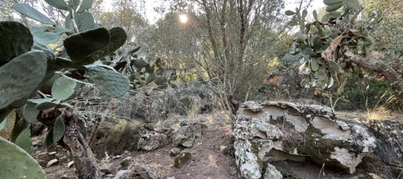  Land in Figari, France No. 93105 21