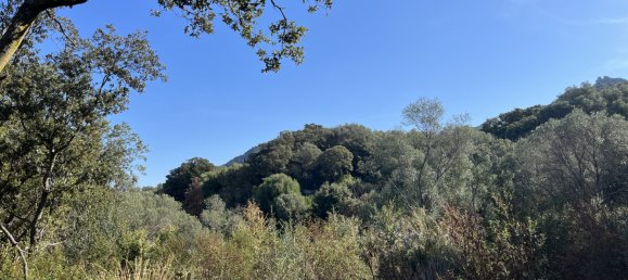  Land in Figari, France No. 93105 20