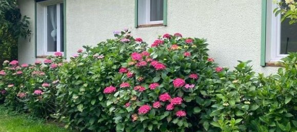 Casa de 4 dormitorios en Calvados, France No. 295388 12