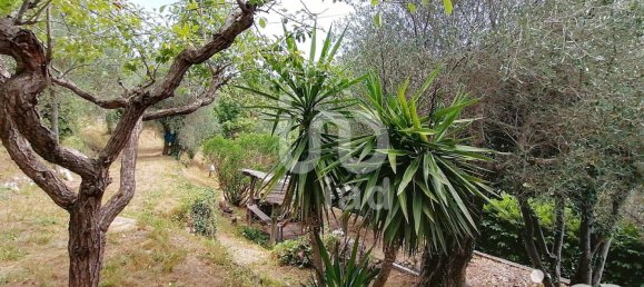 1 bedroom House in Alpes-Maritimes, France No. 295126 18