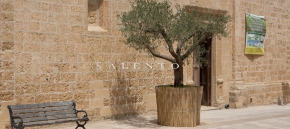 Дом с 3 комнатами в Morciano di Leuca, Италия № 148492 31