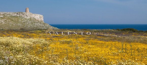 Дом с 3 комнатами в Morciano di Leuca, Италия № 148492 38