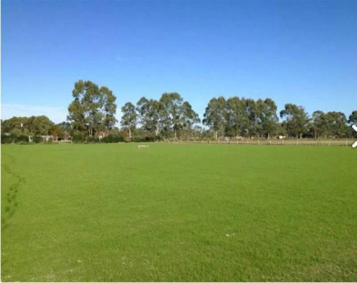 Terreno em Pilar, Argentina N.º 114524