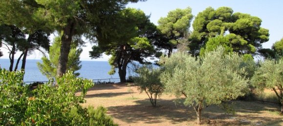 260m² Property in Chalkidiki, Greece No. 7050 25