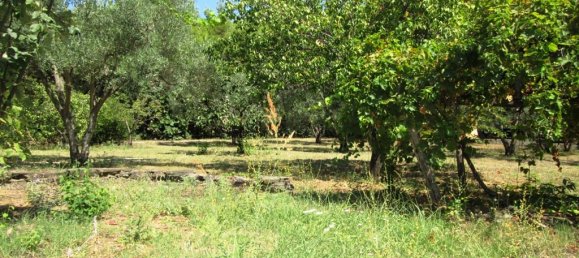 260m² Property in Chalkidiki, Greece No. 7050 24