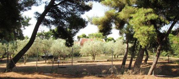 260m² Property in Chalkidiki, Greece No. 7050 4