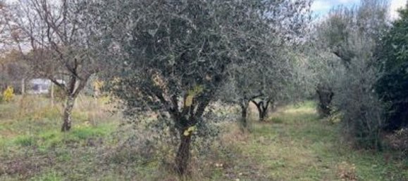 1 bedroom House in Gallicano nel Lazio, Italy No. 322391 4