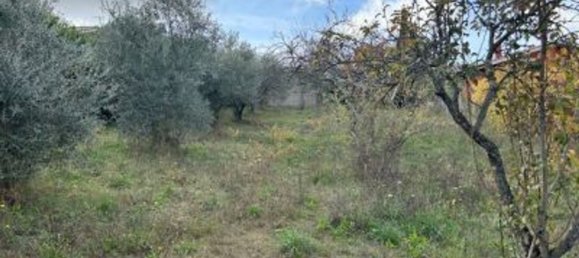 1 bedroom House in Gallicano nel Lazio, Italy No. 322391 11