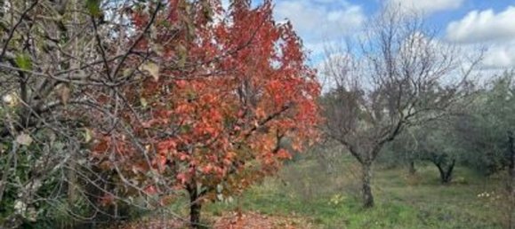 1 bedroom House in Gallicano nel Lazio, Italy No. 322391 7