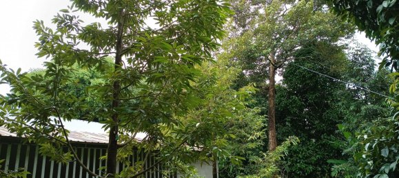 Terreno en Chanthaburi, Thailand 4800 m² No. 65401 15