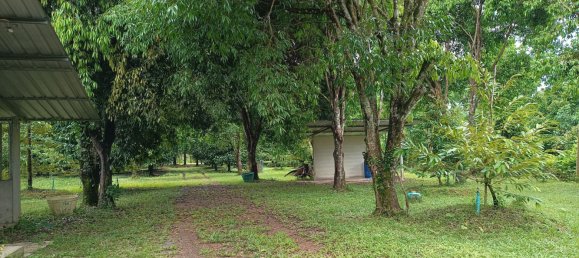 Terreno en Chanthaburi, Thailand 4800 m² No. 65401 10