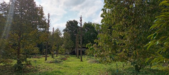 Terreno en Chanthaburi, Thailand 4800 m² No. 65401 9