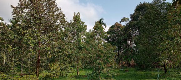 Terreno en Chanthaburi, Thailand 4800 m² No. 65401 2