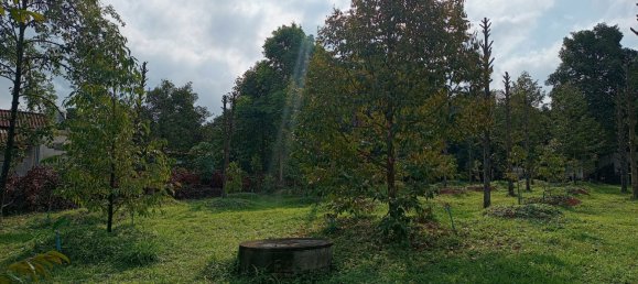 Terreno en Chanthaburi, Thailand 4800 m² No. 65401 6